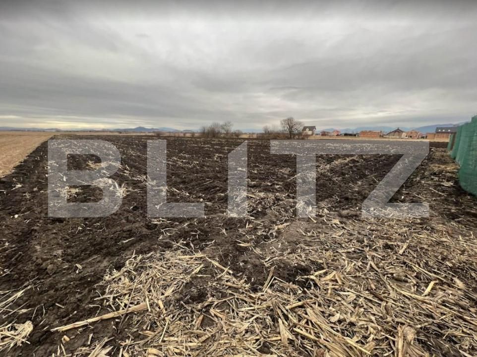 Teren de vânzare Stupini - 142958TV | BLITZ Brașov | Poza4