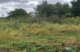 Teren intravilan  2000 mp, Stupini,  utilitati in fata terenului