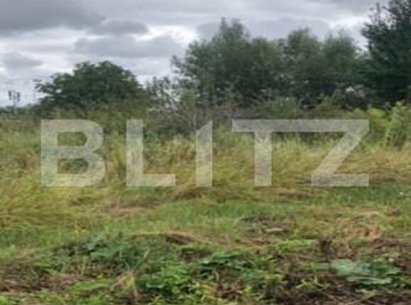 Teren de vânzare Stupini - 142961TV | BLITZ Brașov | Poza5