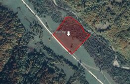 Teren 21.600 mp, Valea Zizinului