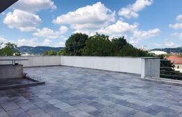 Penthouse 180mp, terasa 140mp, gradina, garaj, zona strazii Clinicilor 