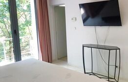 Penthouse 180mp, terasa 140mp, gradina, garaj, zona strazii Clinicilor 