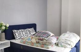 Penthouse 180mp, terasa 140mp, gradina, garaj, zona strazii Clinicilor 