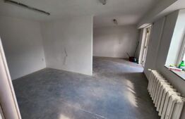 Spatiu comercial, 45 mp, ideal pentru magazin/showroom/delivery, zona Plevnei