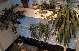 Apartament 2 camere , 50 mp zona  -Triaj 