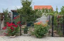 Casă deosebită P+1 - 7 camere , 3 bai ,teren 550 mp, Prejmer