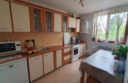 Casa Duplex 3 camere, 91mp, 200mp teren, Dambul Rotund