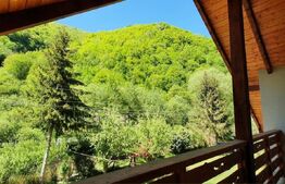 Cabana Maguri 180 mp utili, 1500 mp teren