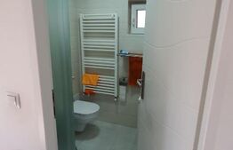 Casa individuala 150mp utili, 430mp teren, in Dambul Rotund