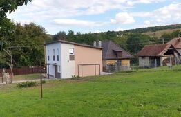 Casa individuala, 110 mp utili, 550 mp teren, 74.000 Euro, Faureni 