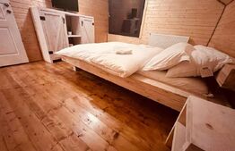 Cabana Belis superba 150mp utili, 1000mp teren