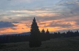 Cabana Belis superba 150mp utili, 1000mp teren