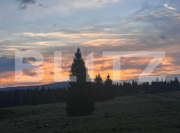 Casa de vânzare 5 camere Beliș - 143011CV | BLITZ Cluj-Napoca | Poza6