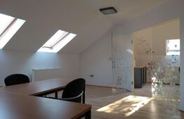 Spatiu birouri, 130 mp, zona strazii Hasdeu