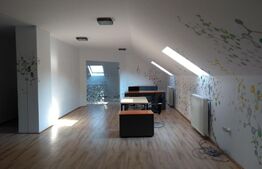 Spatiu birouri, 130 mp, zona strazii Hasdeu