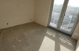 Comision 0%! Apartament pe 3 niveluri, 168 mp, gradina, zona Avram Iancu