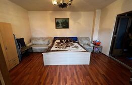 Casa individuala 144 mp, 1448 mp teren, piscina, zona Avram Iancu 