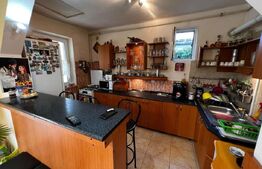 Casa individuala 144 mp, 1448 mp teren, piscina, zona Avram Iancu 