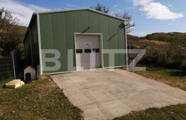 Hala industriala, 200 mp utili, 800 mp teren, zona Bontida
