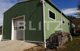 Hala industriala, 200 mp utili, 800 mp teren, zona Bontida