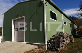 Hala industriala, 210 mp utili, 4100 mp teren, zona Bontida