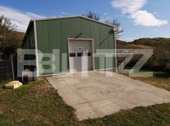 Spațiu industrial de vânzare Exterior Est - 143211SVI | BLITZ Cluj-Napoca | Poza2