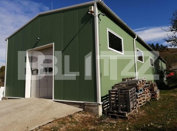 Spațiu industrial de vânzare Exterior Est - 143211SVI | BLITZ Cluj-Napoca | Poza1