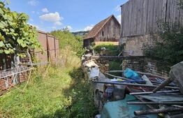 Teren intravilan, 928 mp, casa demolabila, zona Campului