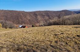 Teren 3600 mp, pretabil pt case de vacanțe, zona Valea Ierii