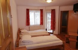 Pensiune, 4 camere, 382 mp utili, 256 mp teren, zona Baisoara