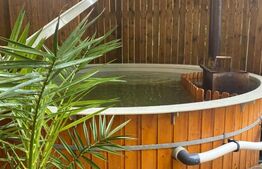 Pensiune, 4 camere, 382 mp utili, 256 mp teren, zona Baisoara