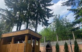 Pensiune, 4 camere, 382 mp utili, 256 mp teren, zona Baisoara