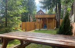 Pensiune, 4 camere, 382 mp utili, 256 mp teren, zona Baisoara