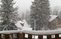 Pensiune, 4 camere, 382 mp utili, 256 mp teren, zona Baisoara