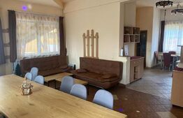 Pensiune, 4 camere, 382 mp utili, 256 mp teren, zona Baisoara