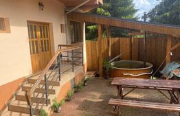 Pensiune, 4 camere, 382 mp utili, 256 mp teren, zona Baisoara