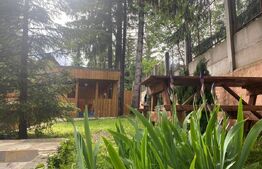 Pensiune, 4 camere, 382 mp utili, 256 mp teren, zona Baisoara