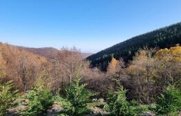 Casa de vacanta, 5 camere, 130 mp, teren 1000 mp, zona Valea Ierii