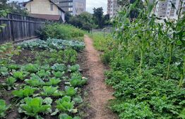 Casa cu teren de 1392 mp in zona strazii Bucuresti