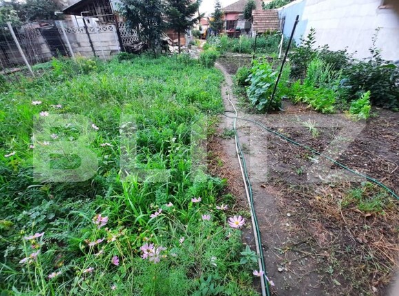 Casa de vânzare 3 camere Marasti - 143251CV | BLITZ Cluj-Napoca | Poza2