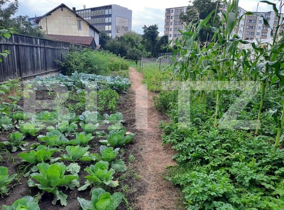 Casa de vânzare 3 camere Marasti - 143251CV | BLITZ Cluj-Napoca | Poza10