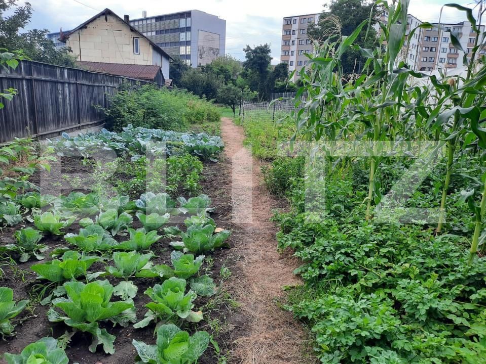 Casa de vânzare 3 camere Marasti - 143251CV | BLITZ Cluj-Napoca | Poza10