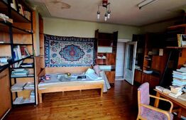 Casa individuala 280mp,teren de 1000mp,situata in Dambul Rotund