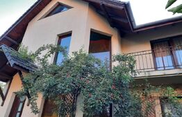 Vanzare casa individuala, 500 mp utili, 500 mp teren, front 25 ml