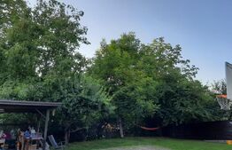 Vanzare casa individuala, 500 mp utili, 500 mp teren, front 25 ml