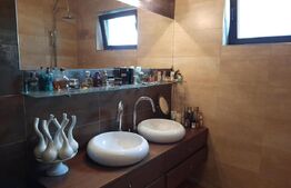 Vanzare casa individuala, 500 mp utili, 500 mp teren, front 25 ml