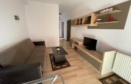 Apartament 2 camere, 55 mp, imobil nou, mobilat modern, zona Autogarii