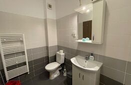 Apartament 2 camere, 55 mp, imobil nou, mobilat modern, zona Autogarii