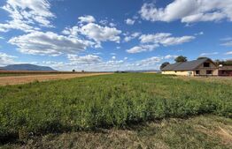 Teren intravilan, Puz aprobat parcele intre 500 - 700 mp