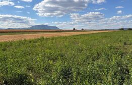 Teren intravilan, Puz aprobat parcele intre 500 - 700 mp